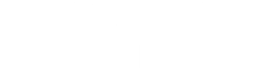 Past Life, Present Love logo