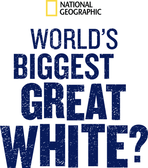 World's Biggest Great White? logo