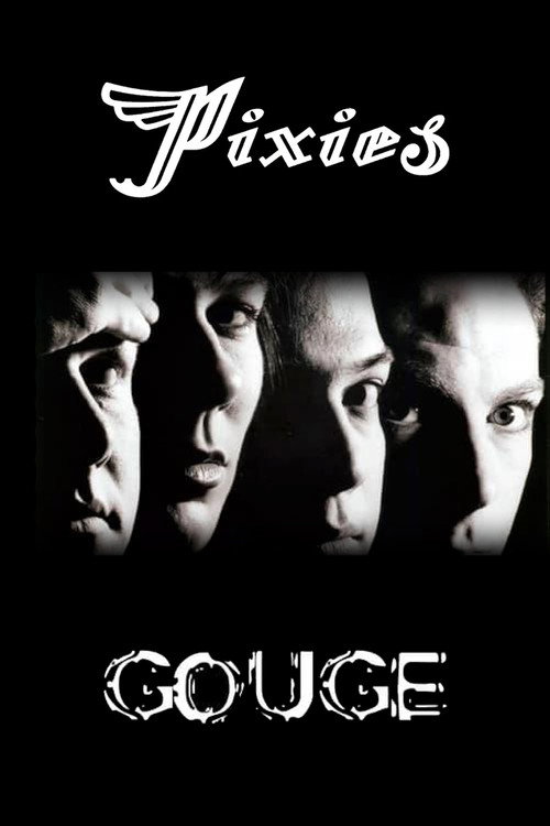 PiXies, live at the town & country club, London