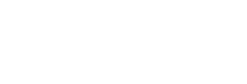 Fly by Night logo