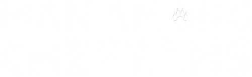 Man Among Cheetahs logo