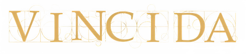 ভিঞ্চি দা logo