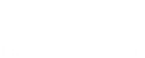 Austerlitz logo