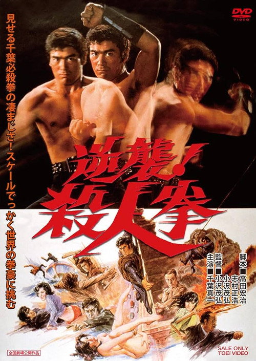 The Street Fighter's last Revenge