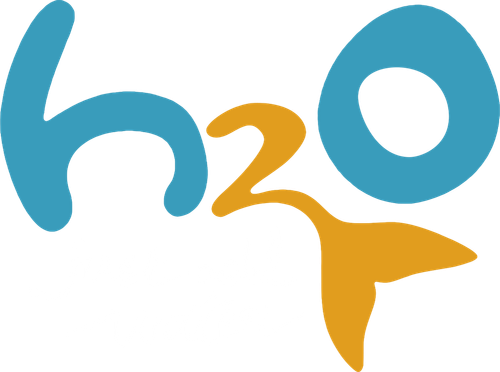 H2O: Just Add Water logo