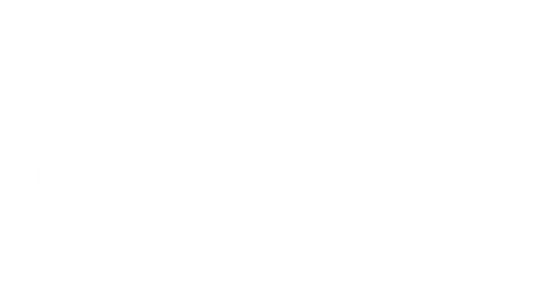 Ninja Scroll: The Series logo