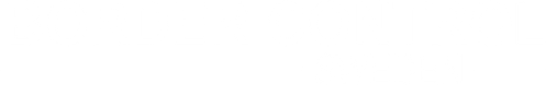 Border Control: Sweden logo