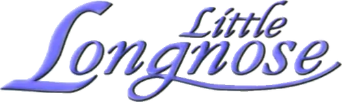Jacob Et Sa Princesse logo
