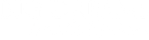 Big Dreams Small Spaces logo