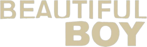 Beautiful Boy logo