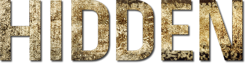 Hidden logo