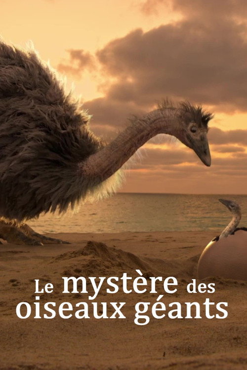 Le mystère des oiseaux géants