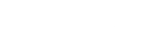 National Treasure logo