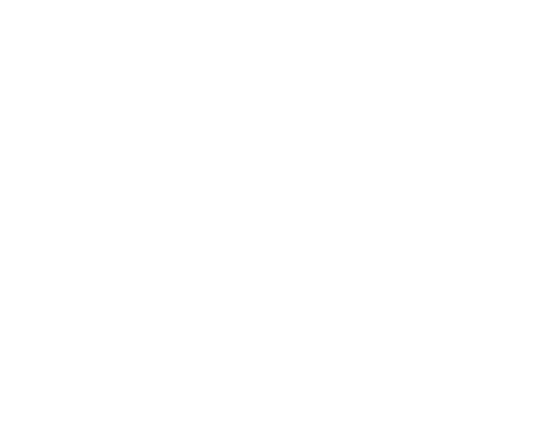 Burgers and Co avec Guy FIERI logo