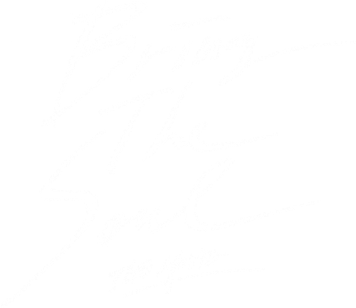 Bring The Soul : The Movie logo