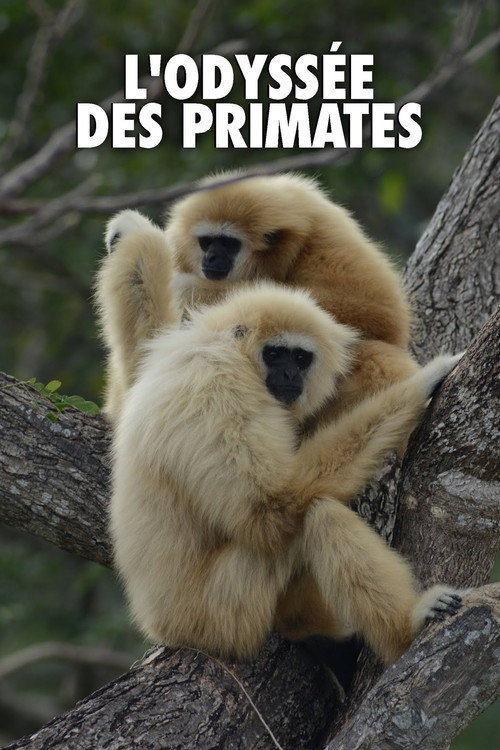 L'Odyssée des primates