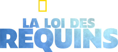 La loi des requins logo