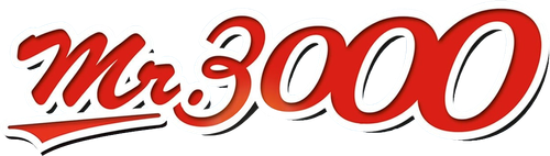 Mr. 3000 logo