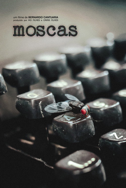 Moscas