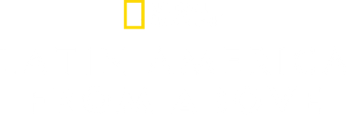 Latin America from Above logo