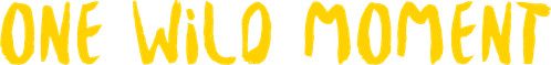 One Wild Moment logo