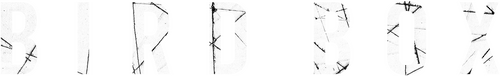 Bird Box logo