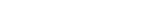 Adventure logo