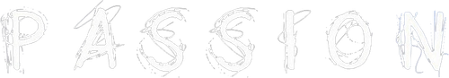 Passion logo