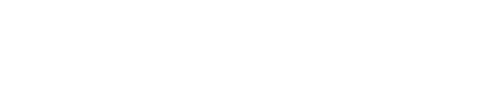 Viêt and Nam logo