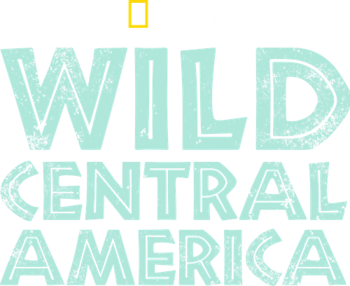 Wild Central America logo