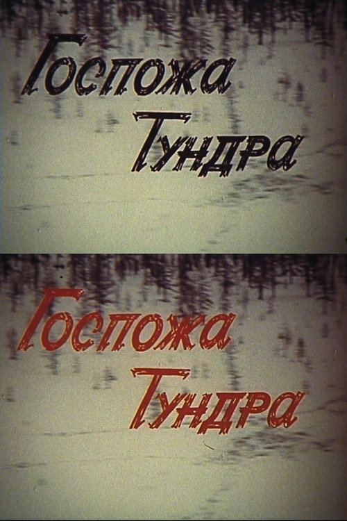 Госпожа Тундра