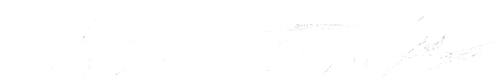 Election 2 logo