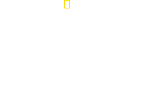Nasca Lines Decoded logo