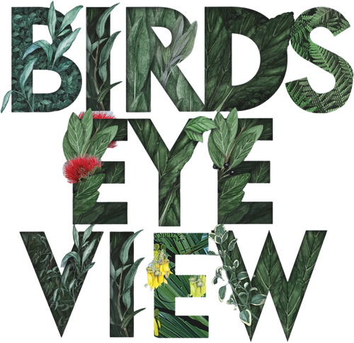 Bird's Eye View logo