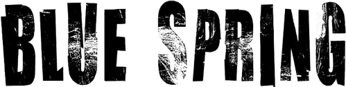 Blue Spring logo