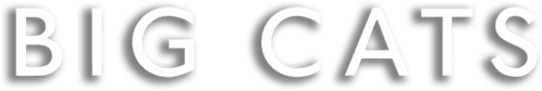 Big Cats logo