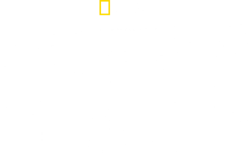 Most Wanted Sharks logo