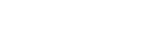 Paik's Spirit logo