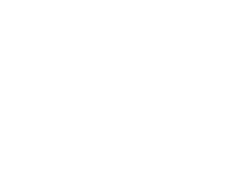 2.43: Seiin High School Boys Volleyball Team logo