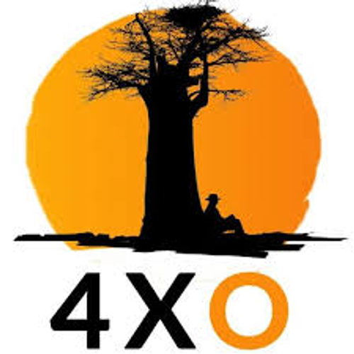 4x4 Driving Skills logo