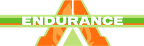 Endurance logo