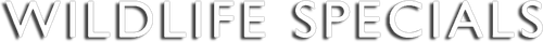 Wildlife Specials logo
