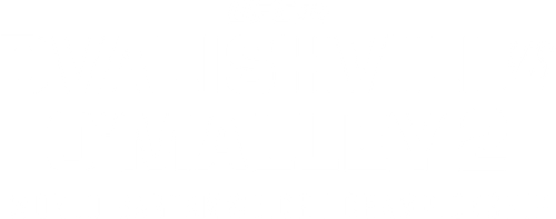 UFC 316: Dvalishvili vs. O'Malley 2 logo