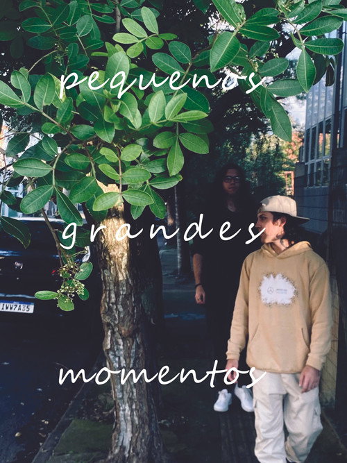 pequenos grandes momentos