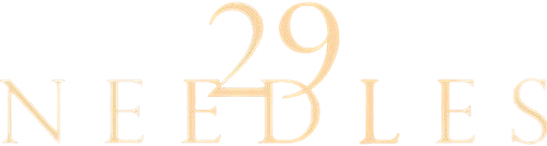 29 Needles logo