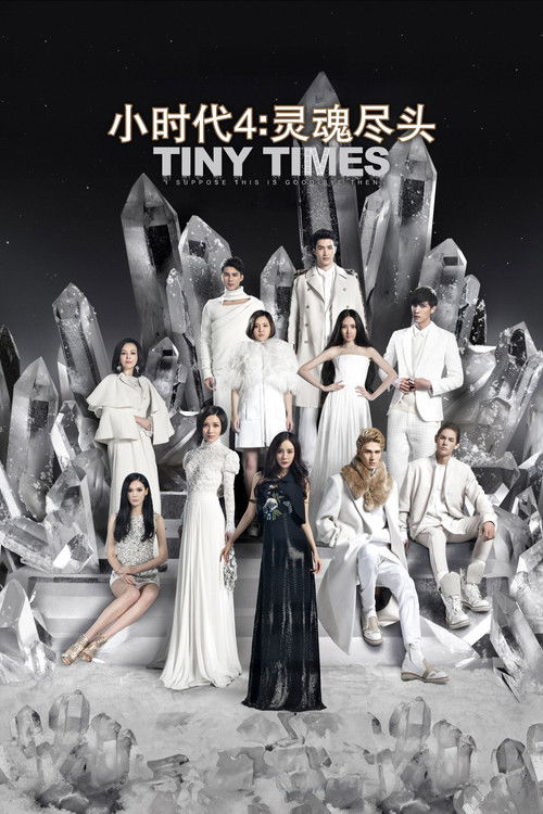 Tiny Times 4