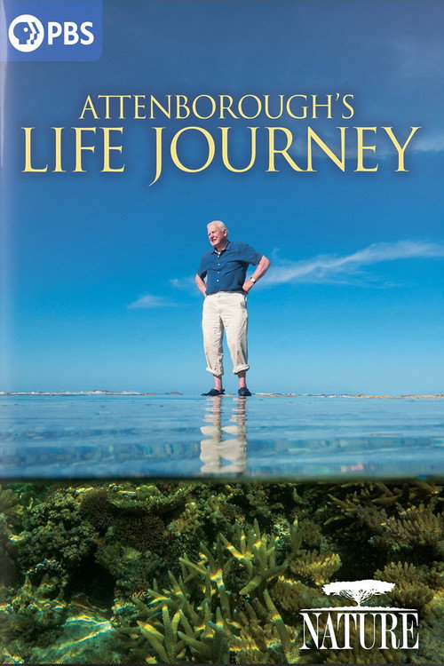 Attenborough's Life Journey