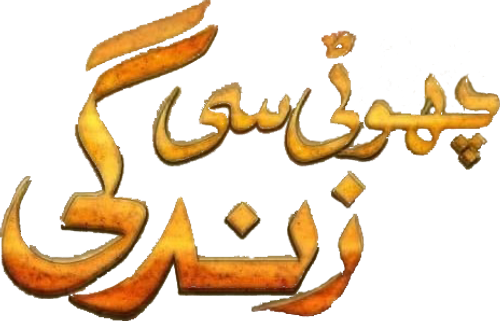 Choti Si Zindagi logo