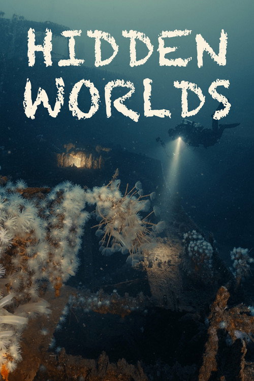 Hidden Worlds