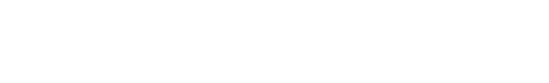 Father Stu logo